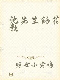沈先生的花式管教