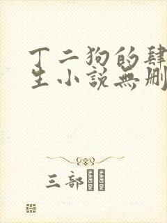 丁二狗的肆意人生小说无删减txt封面