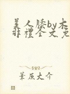 美人膝by木子非礼全文免费阅读