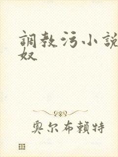 调教污小说高h奴