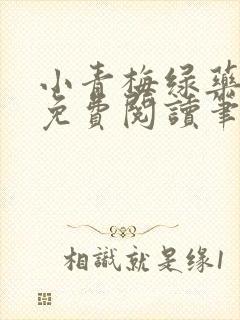 小青梅绿药全文免费阅读笔趣阁