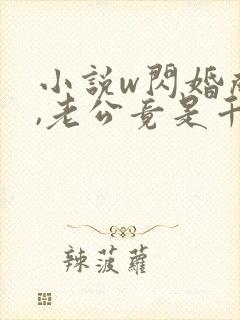 小说w闪婚成宠,老公竟是千亿大佬》封面