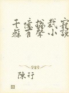 千亿总裁宠妻成瘾有声小说完整