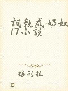 调教成奶奴1～17小说