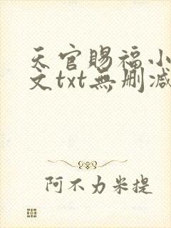天官赐福小说全文txt无删减下载封面