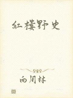 红楼野史