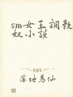 sm女王调教男奴小说封面
