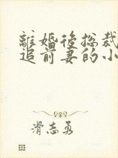 离婚后总裁前夫追前妻的小说大全