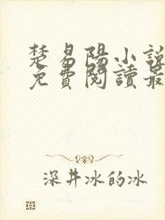 楚易阳小说全文免费阅读最新章节