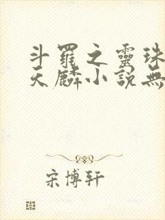斗罗之灵珠神剑天麟小说无弹窗封面