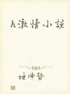 h激情小说封面