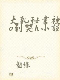 大乳秘书被cao到哭h小说