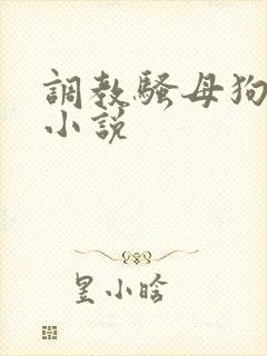 调教骚母狗高h小说