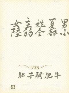 女主姓夏男主姓陆的全部小说封面