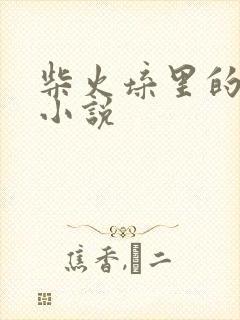 柴火垛里的疯狂小说