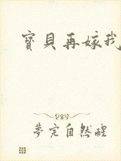 宝贝再嫁我一次