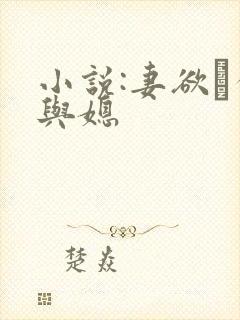 小说:妻欲·公与媳