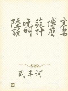 陆晚苏傅寒舟小说叫什么名