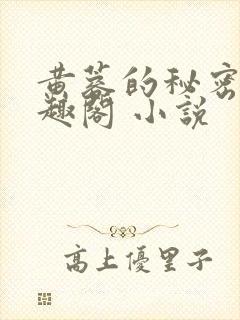 黄蓉的秘密 笔趣阁 小说