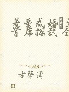 惹爱成婚·染指首席总裁 全文阅读