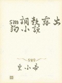 sm调教露出母狗小说