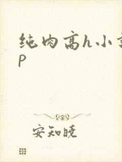 纯肉高h小说np