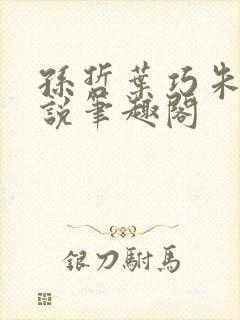 孙哲叶巧朱颜小说笔趣阁封面