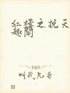 红楼之挽天倾笔趣阁