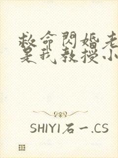 救命闪婚老公竟是我教授小说免费阅读