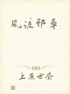 风流邪尊