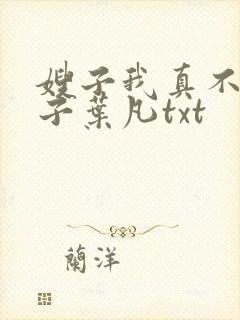 嫂子我真不是傻子叶凡txt