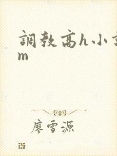 调教高h小说sm
