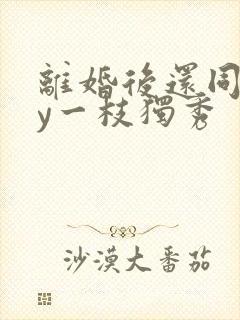 离婚后还同居by一枝独秀封面