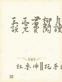王正君柳月瑶小说免费阅读最新章节