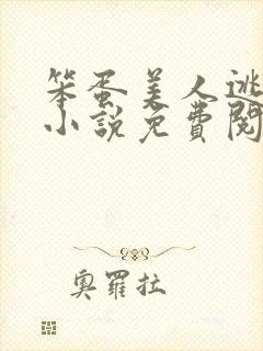 笨蛋美人逃婚后小说免费阅读
