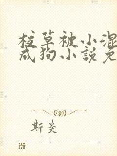 校草被小混调练成狗小说免费阅读系封面
