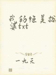 我的绝美总裁老婆txt