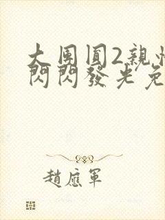 大团圆2亲情会闪闪发光免费