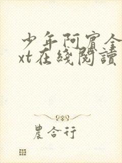 少年阿宾全文txt在线阅读