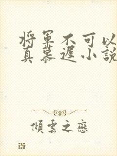 将军不可以魏云真慕迟小说笔趣阁封面