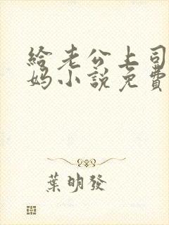 给老公上司当奶妈小说免费阅读