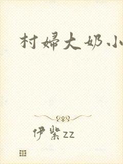 村妇大奶小说封面
