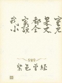 我家都是穿来的小说全文免费阅读封面