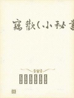窃欢(小秘书)