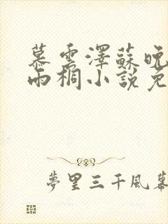 慕云泽苏晚晴夏雨桐小说免费阅读