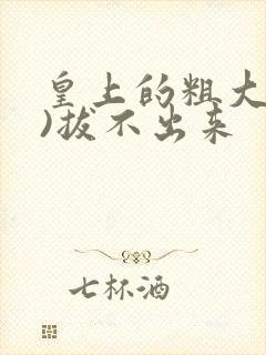 皇上的粗大(h)拔不出来封面