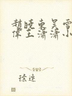 赵晓东吴雪晴郑伟王潇潇小说名字封面