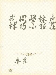 我同学林虎妈妈林巧小说在线阅读