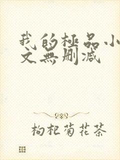 我的极品小姨全文无删减