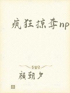 疯狂掠夺npc